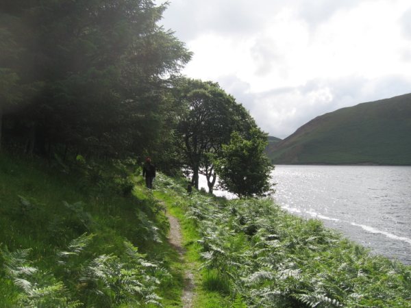 Clywedog_Lake.JPG