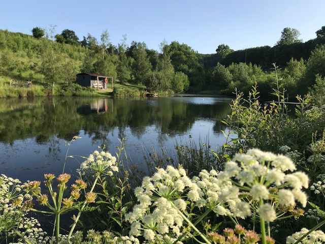 Garth_Lake_with_Cow_Parsley.jpg